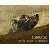 Submarino - ¿No Es Lo Que Te Encanta? - Single